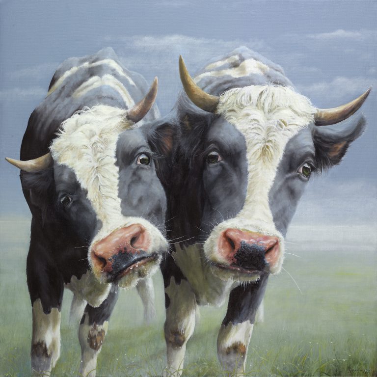 Koeien schilderijen van Geke Hoogstins kunst in olieverf