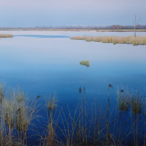 Boerenveenscheplassen