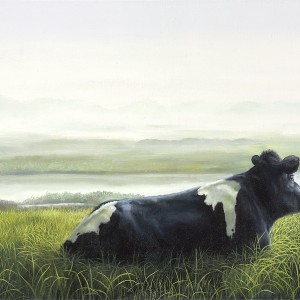 Awakening on the dike