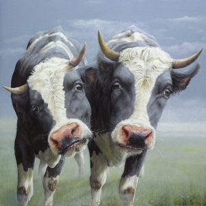 Koeien schilderijen van Geke Hoogstins kunst