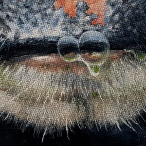 COWCOON Geke Hoostins- De Verbinding (12)