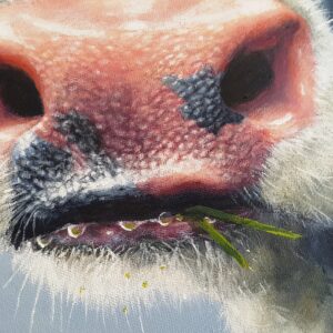 COWCOON Geke Hoostins- De Verbinding (7)
