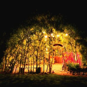 Wilgenhut minitheater GEKE HOOGSTINS (1)