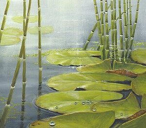 Morning dew- Geke hoogstins uitsnede