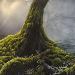 Old Roots
